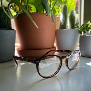 Ray-ban Round Tortoise Frames